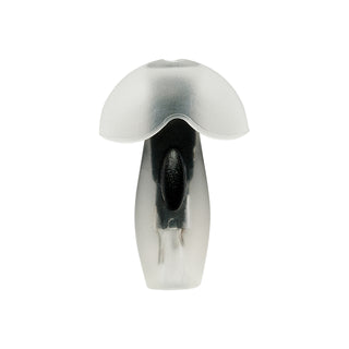 Happy Ears Transparent Discovery Pack